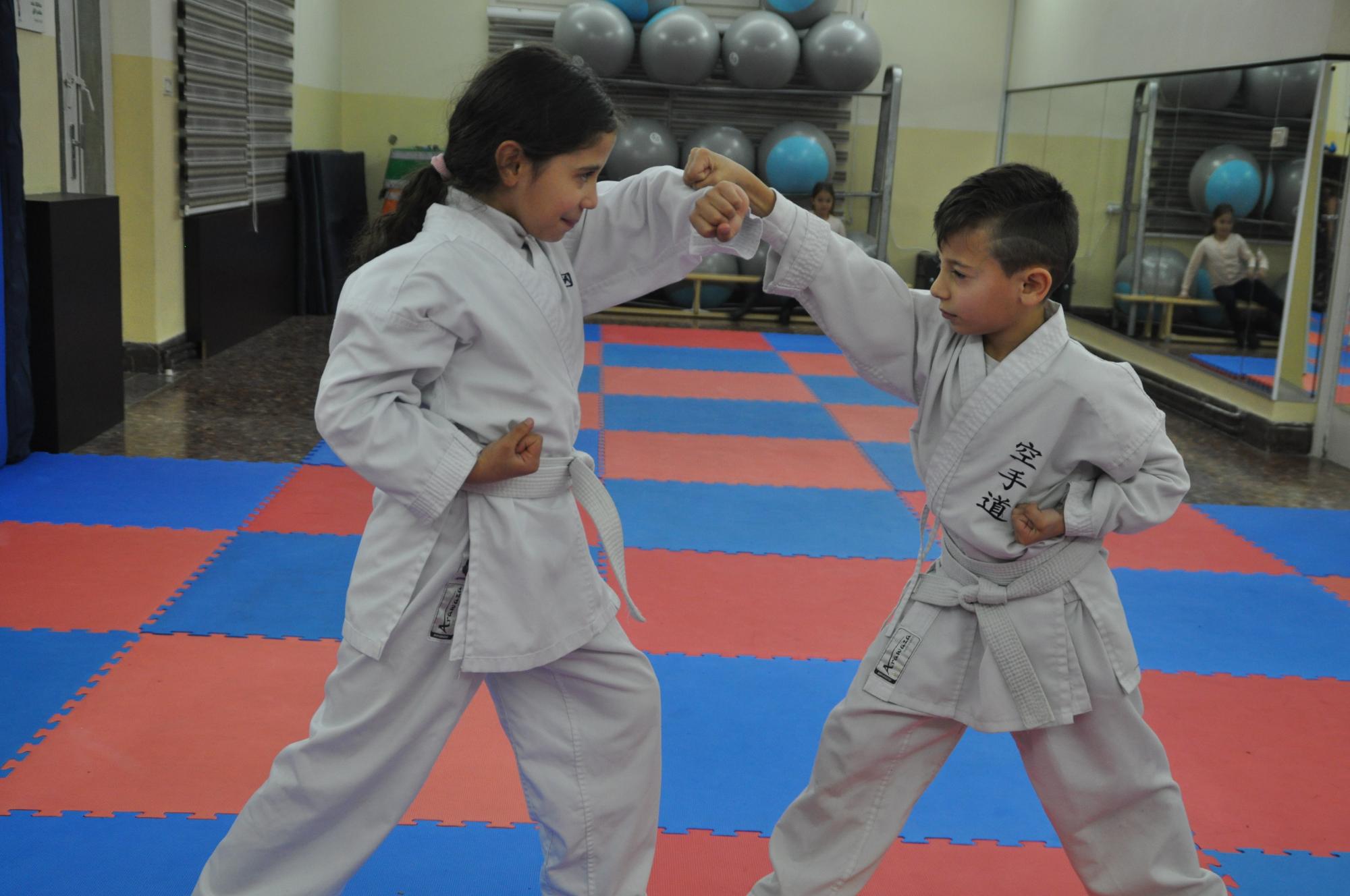 Participants in Karate Program